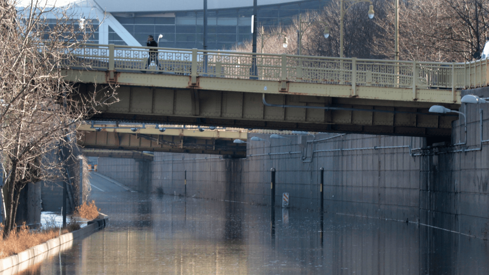 Rain gardens and trees are helping Pittsburgh reduce flooding