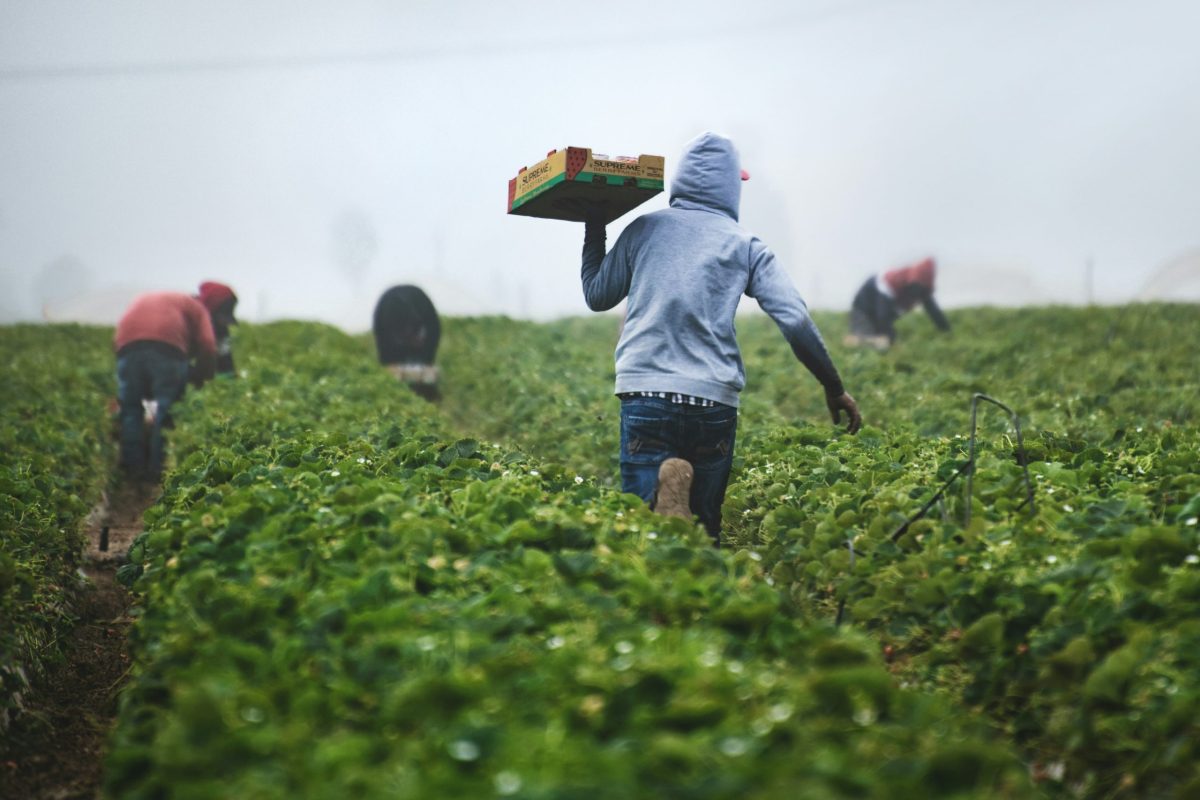 Washington State’s new cooling law protects farm workers. But do they know about it?