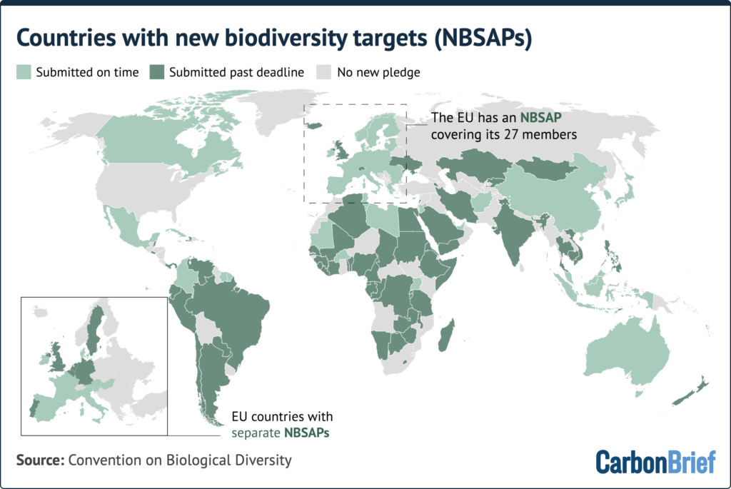COP17: Which countries have released new pledges to tackle nature loss?