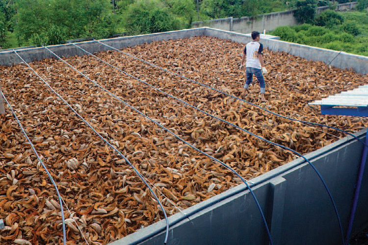 Modern Aquaculture’s Invisible Cost: Its Putrid Stench