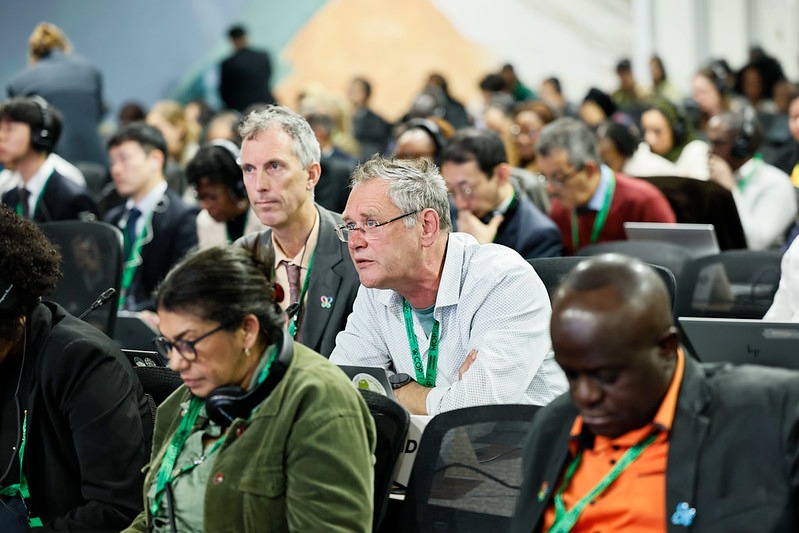 COP17 delivers fragile deal to boost conservation and funding for nature